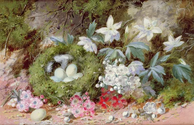 Still Life with Bird